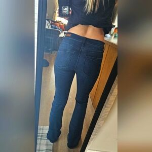Express bootcut jeans